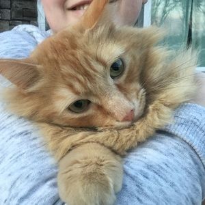 Meet your Posher, Willow